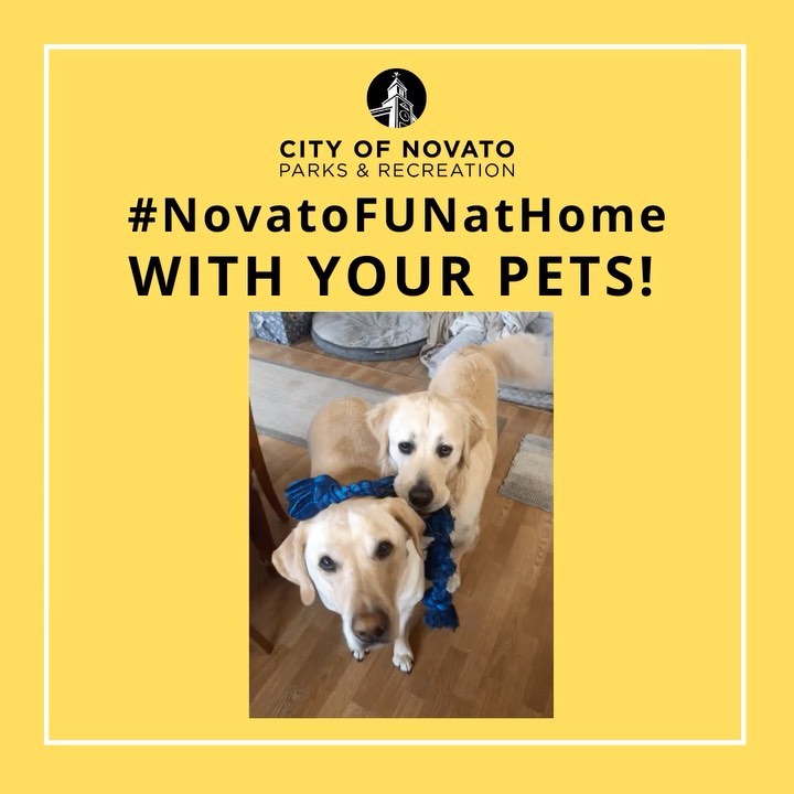 Pets Novatofunathome