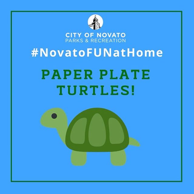 Paper Plate Turtles novatofunathome