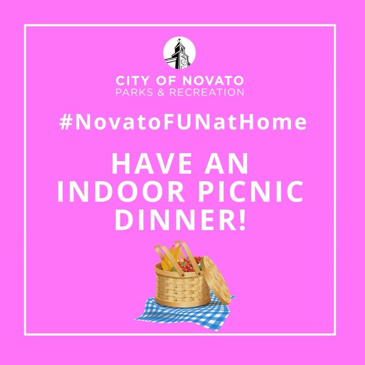 Indoor Picnic novatofunathome