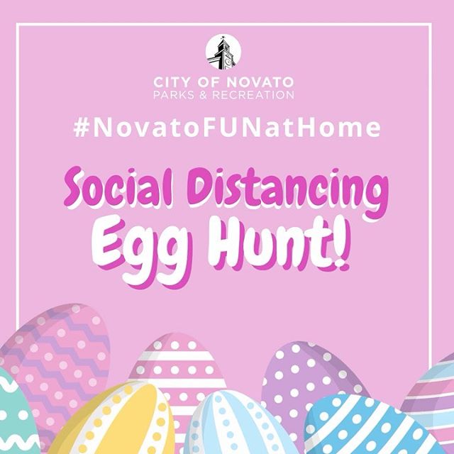 Egg Hunt novatofunathome