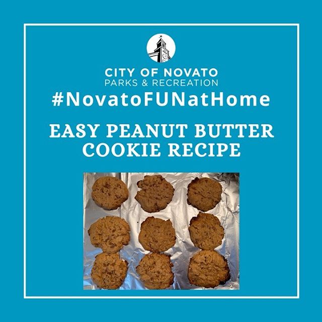 Peanut Butter Cookies novatofunathome