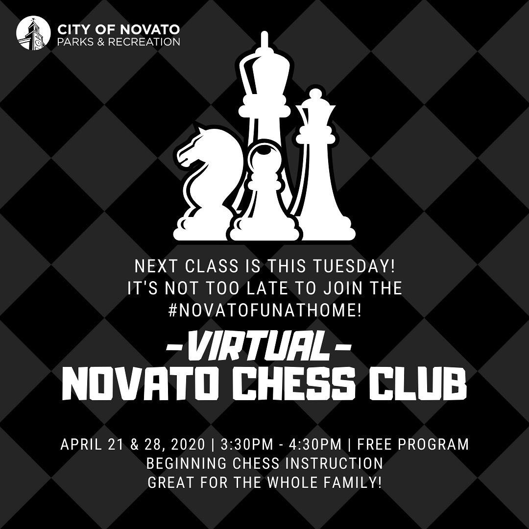 Virtual Chess Club novatofunathome