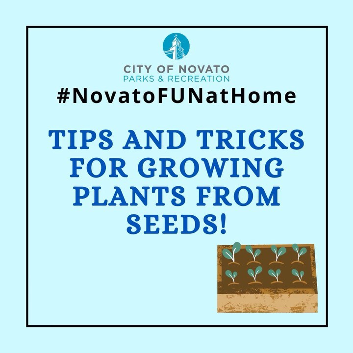 Plants from Seeds novatofunathome