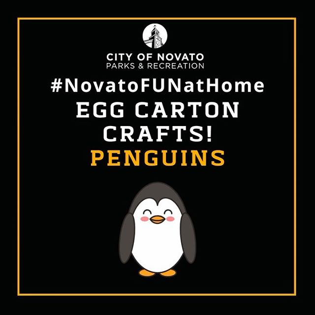 Egg Carton Penguins novatofunathome