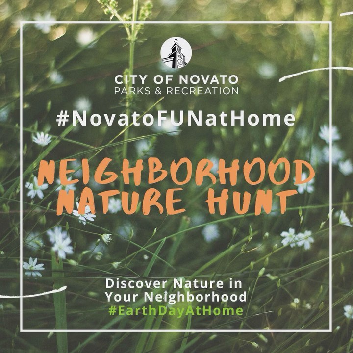 Nature Hunt novatofunathome