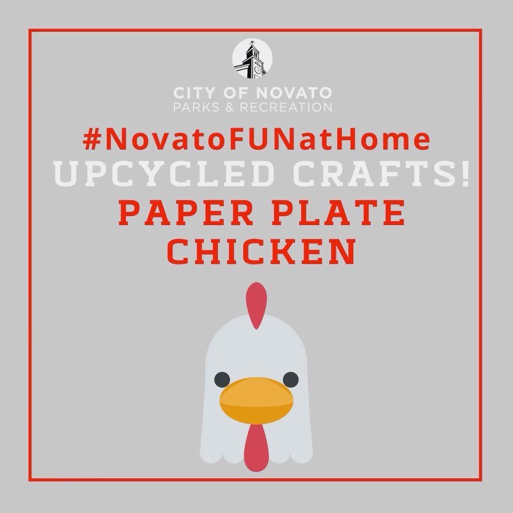 Paper Plate Chicken novatofunathome