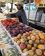 photo of produce seller