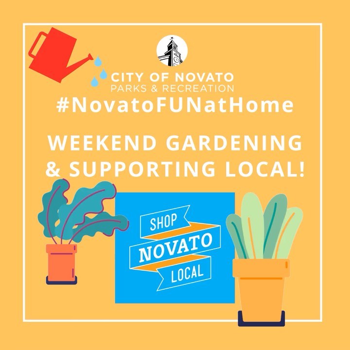 Gardening and Support Local novatofunathome