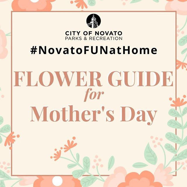 Flower Guide Mothers Day novatofunathome