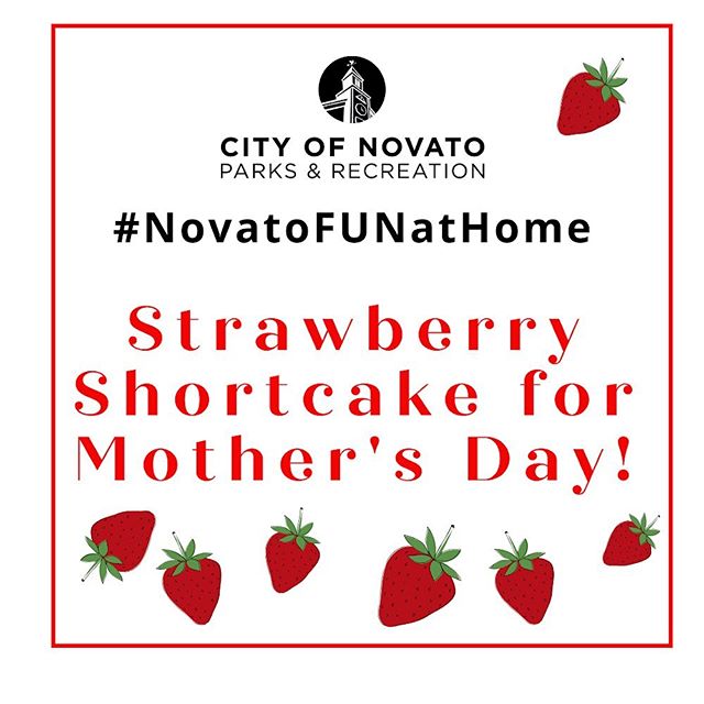 Strawberry Shortcake novatofunathome