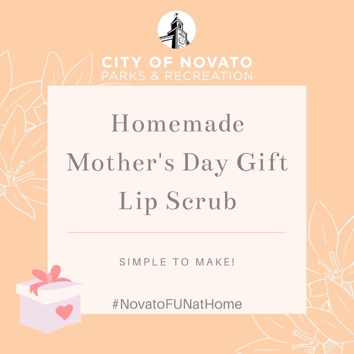 Mother Day Lip Scrub novatofunathome