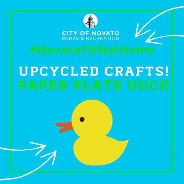 Paper Plate Duck novatofunathome