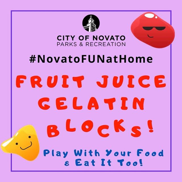 Fruit Juice Gelatin Blocks novatofunathome