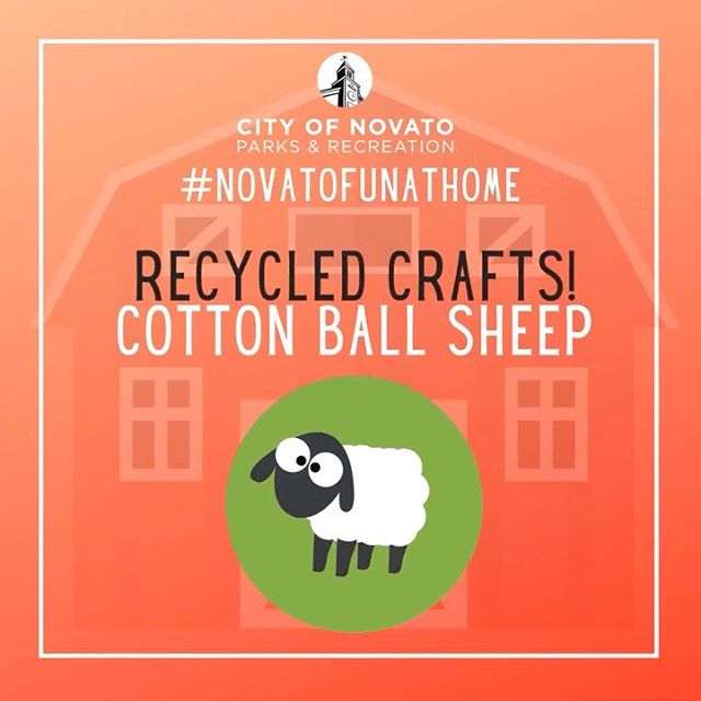 Cotton Ball Sheep novatofunathome