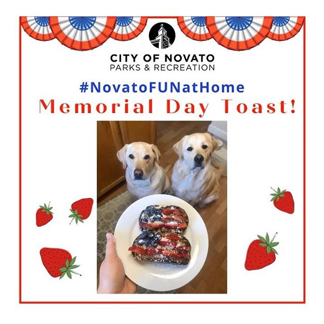 Memorial Day Toast novatofunathome