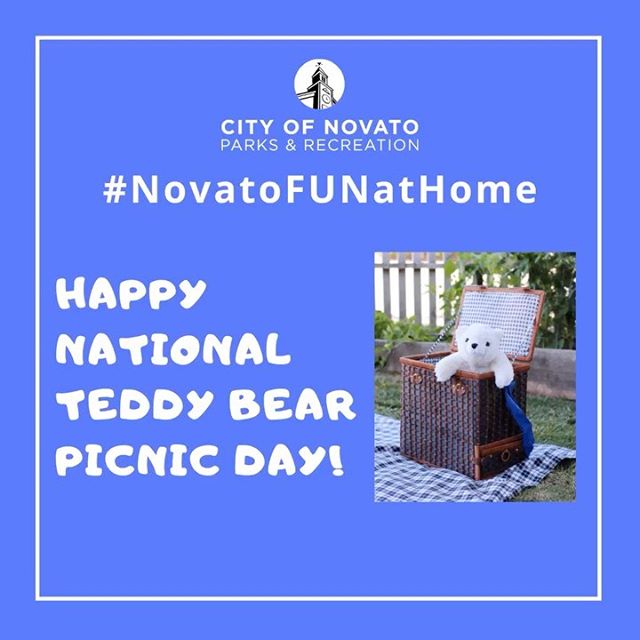 Teddy Bear Picnic Day novatofunathome