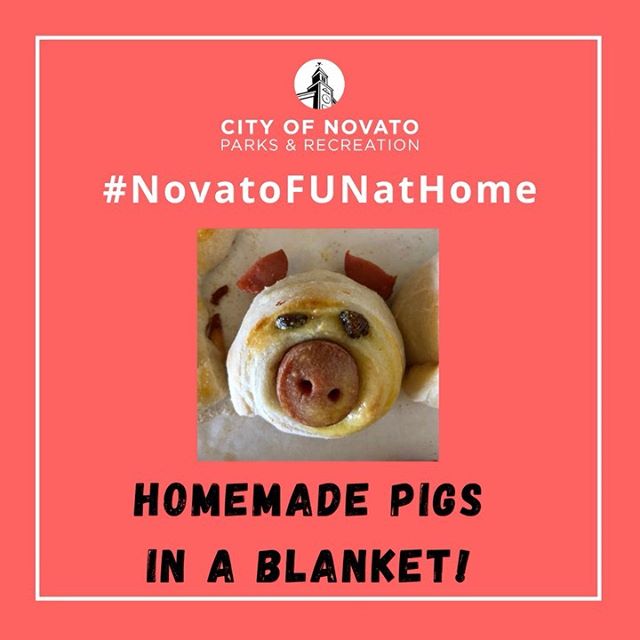 Pigs In Blanket novatofunathome