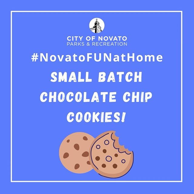 Small Batch Cookies novatofunathome