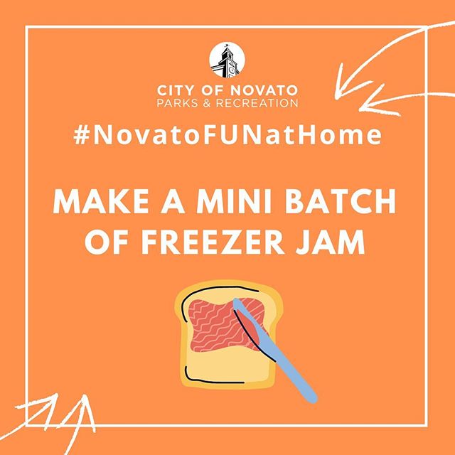 Freezer Jam NovatoFunAtHome