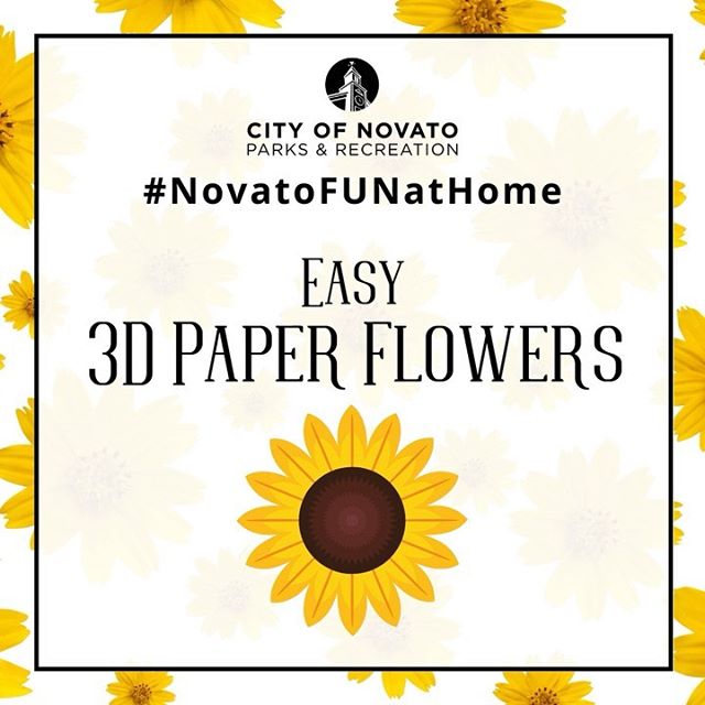 3D Paper Flowers NovatoFunAtHome