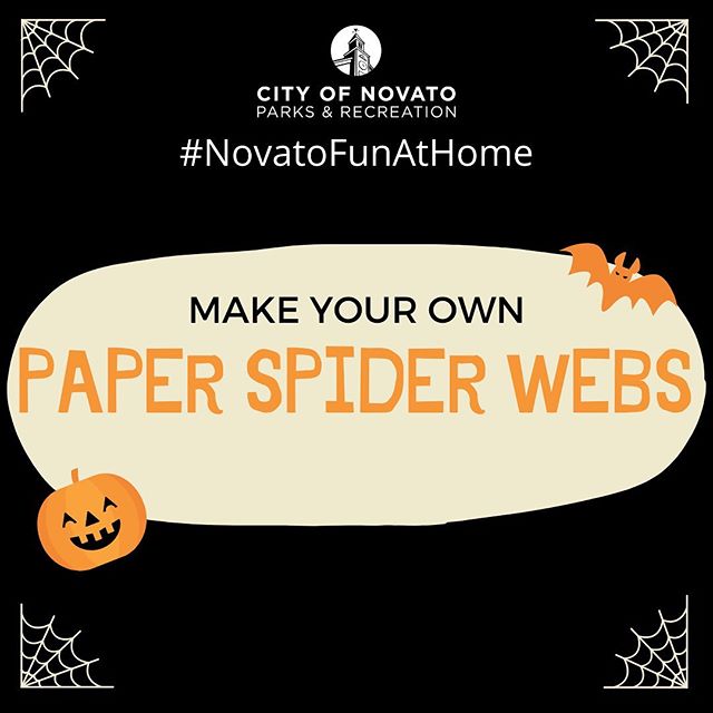 Paper Spider Webs NovatoFunAtHome