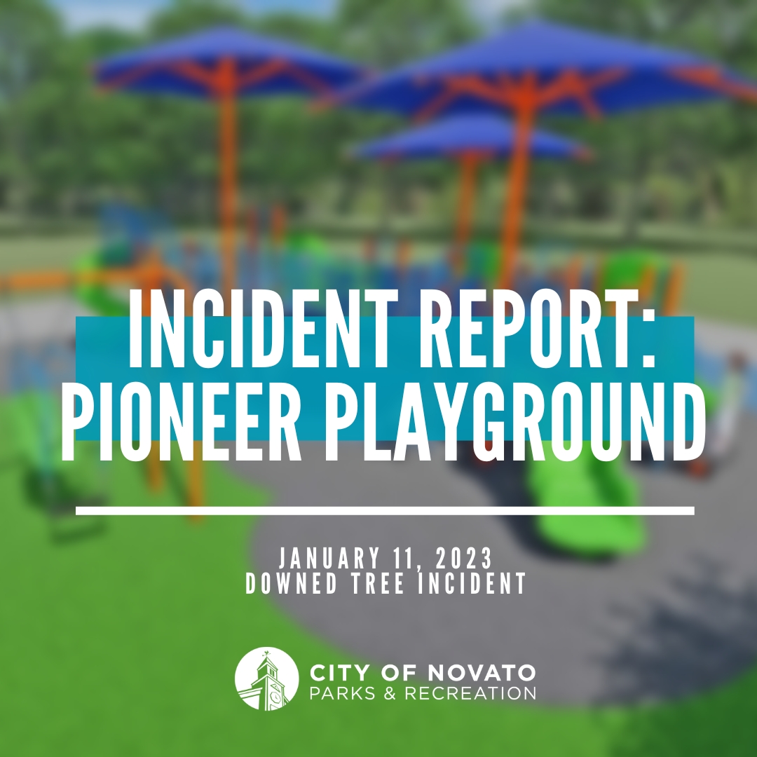 Pioneer Park incident 2