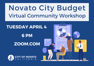 Virtual Budget Workshop