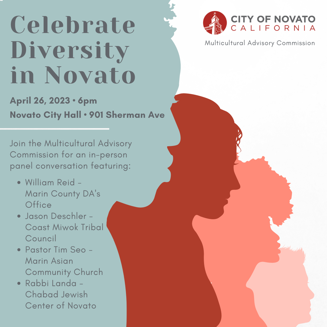 Diversity in Novato Graphic