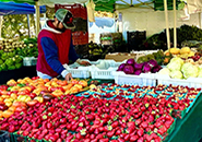 farmers market