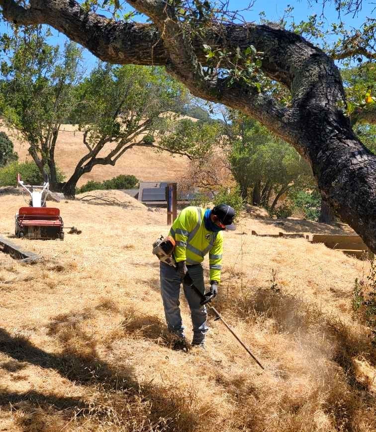 weed abatement