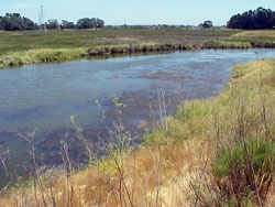 Floodplain