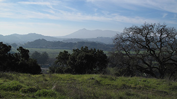 Pacheco Hill Open Space