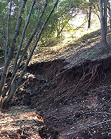 Photo of Miwok Slide