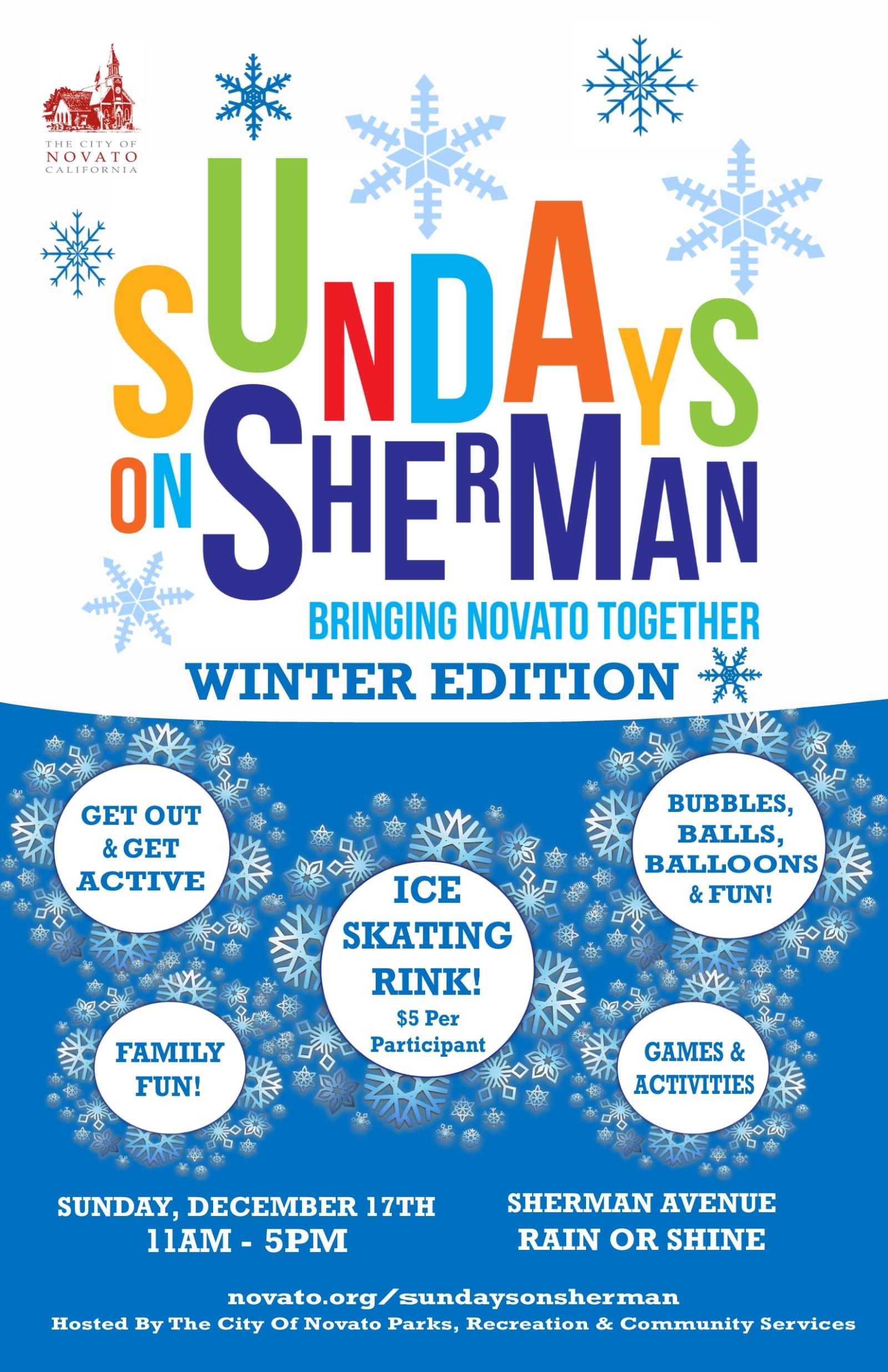 Winter Sumdays on Sherman POSTER