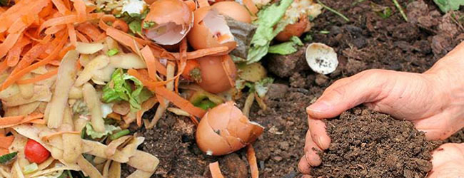 Image of composting