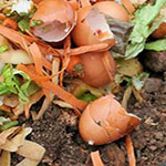 Image of composting