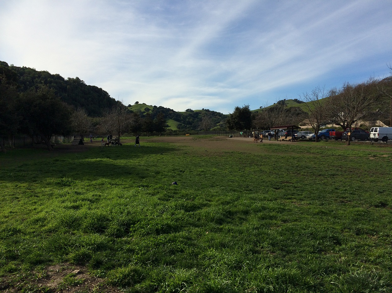 Dogbone Meadow Photo