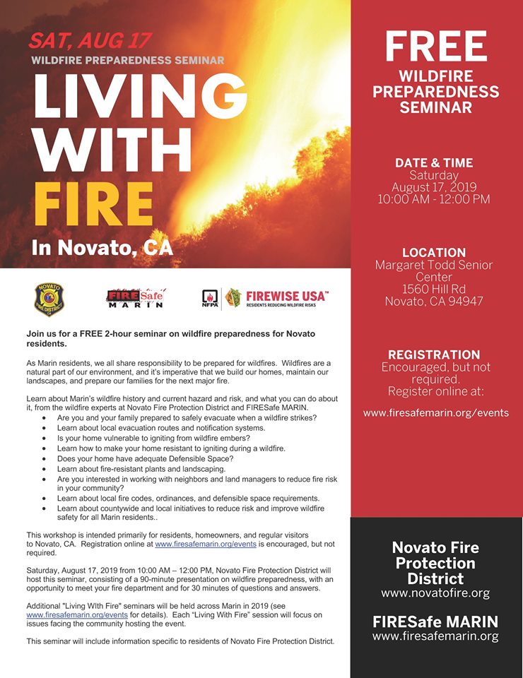 Image of Living with Fire Poster