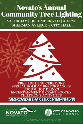 Image of Tree Lighting poster in English